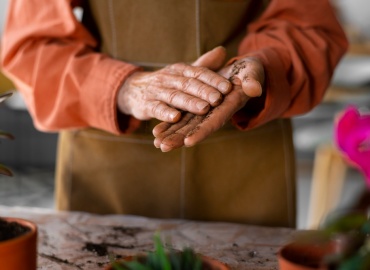 Julgamento com perspectiva de gênero garante aposentadoria por idade para trabalhadora rural
