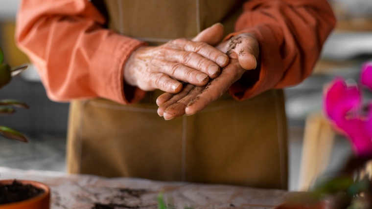 Julgamento com perspectiva de gênero garante aposentadoria por idade para trabalhadora rural