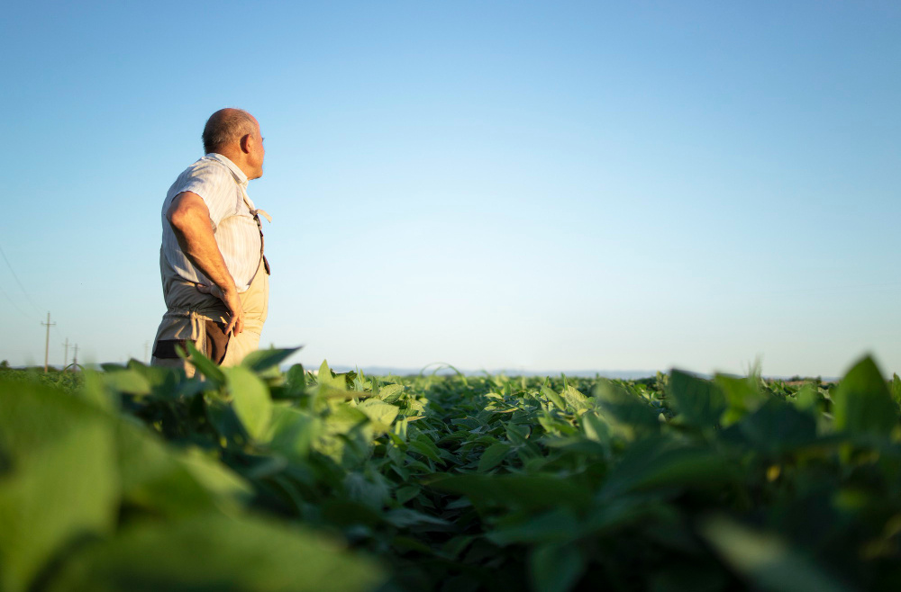 Décima Turma garante pensão por morte a viúvo de agricultora que trabalhou em regime de economia familiar 