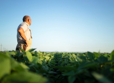 Décima Turma garante pensão por morte a viúvo de agricultora que trabalhou em regime de economia familiar 