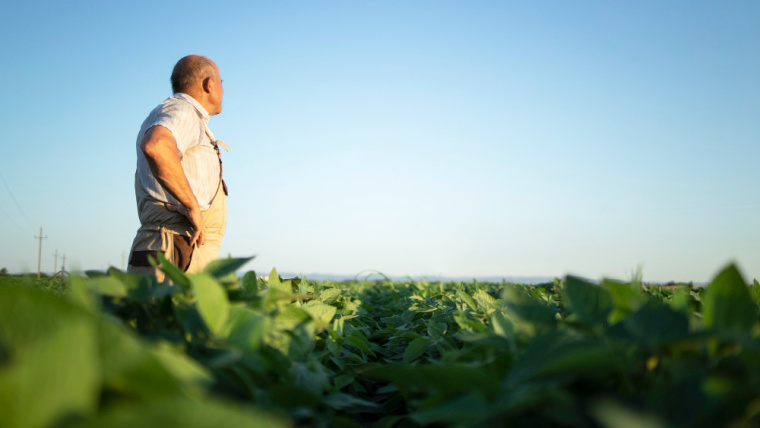 Décima Turma garante pensão por morte a viúvo de agricultora que trabalhou em regime de economia familiar 